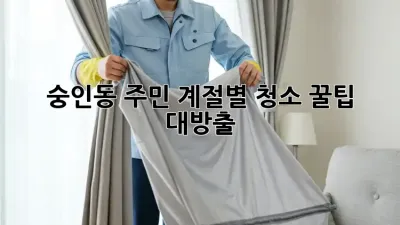 🏡 숭인동 주민必見! 계절별 청소 꿀팁 대방출 🍯